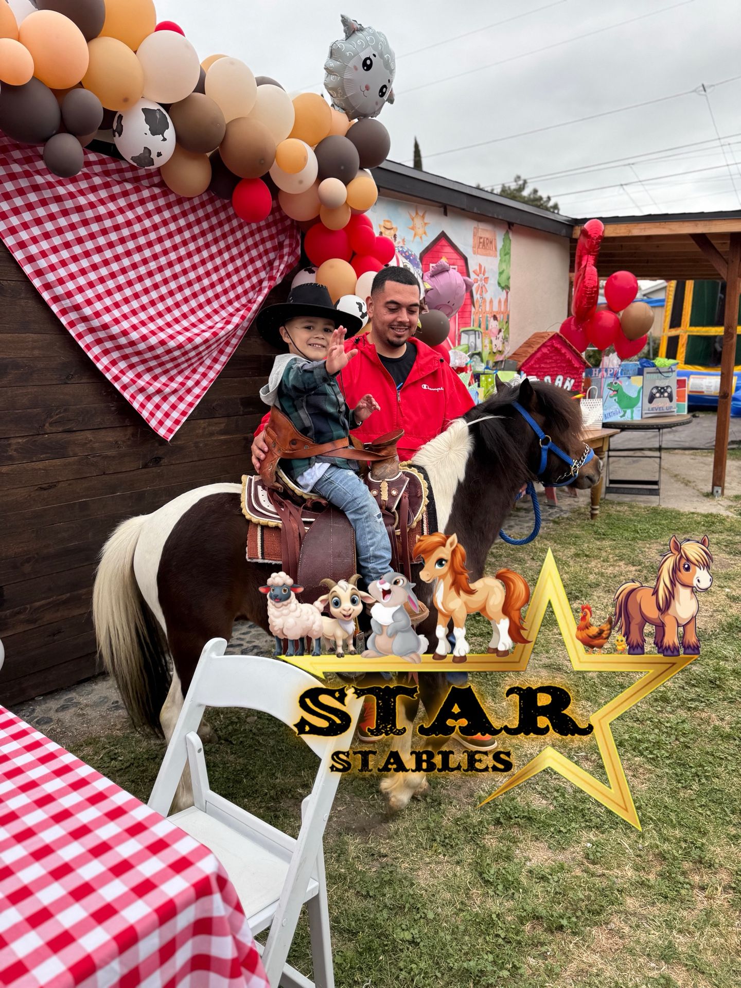 Pony Rides Petting Zoo