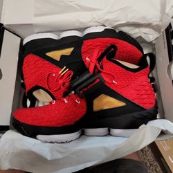 Lebron 15 