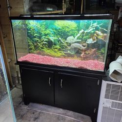 60 Gallon