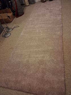 Tan Rug