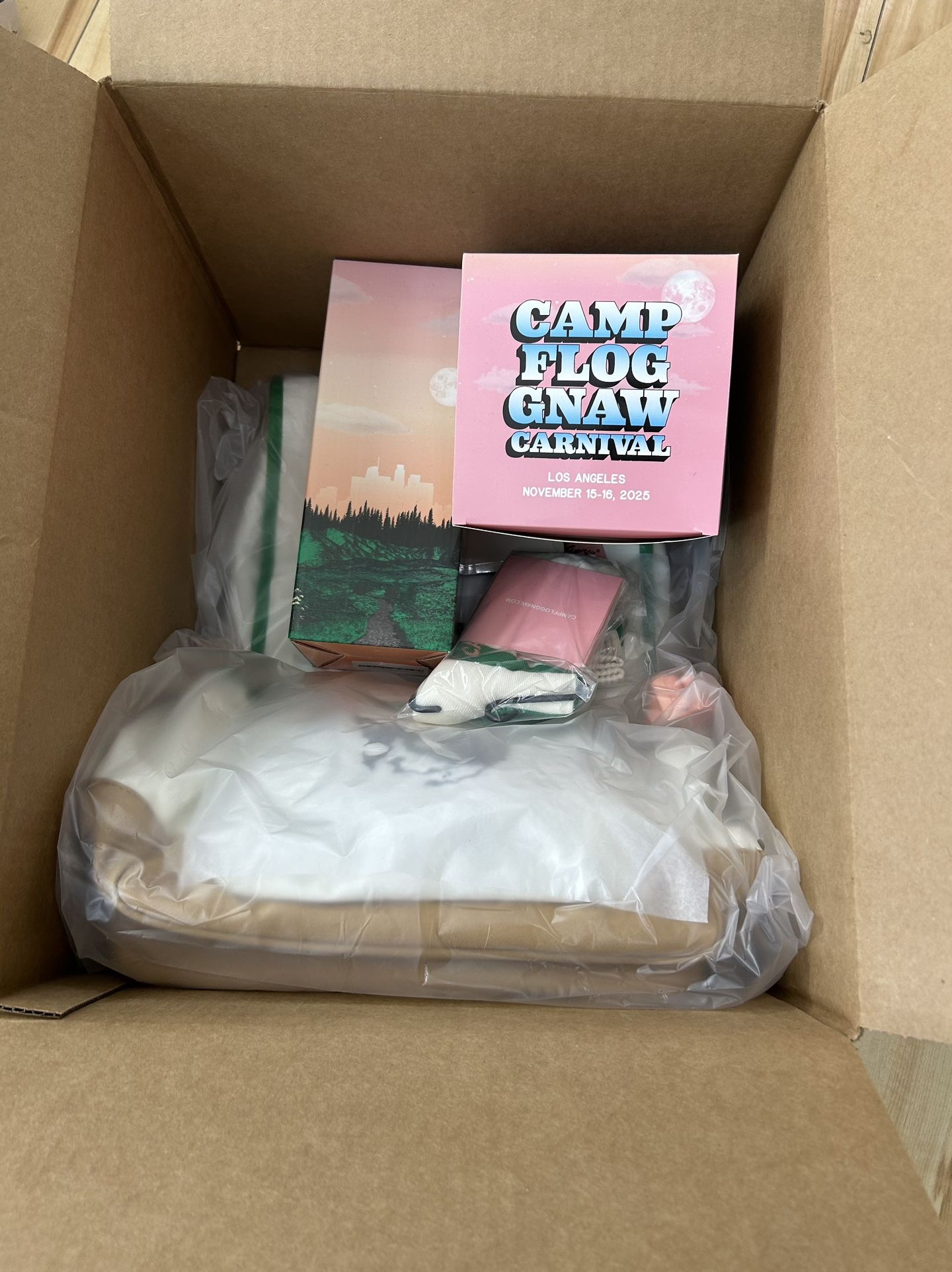 Camp Flognaw 2025 VIP Wristband + Merch