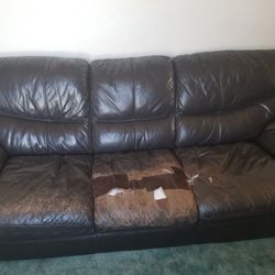 Free Used Couch