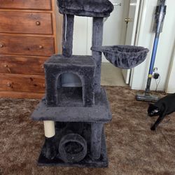 Cat Tree 