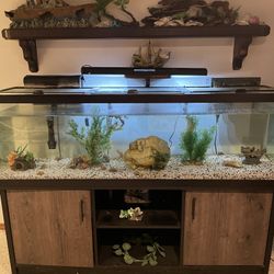 72” Fish Tank