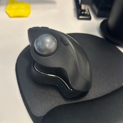 Logitec Mouse