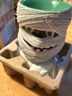 Scentsy All Wrap Plug In