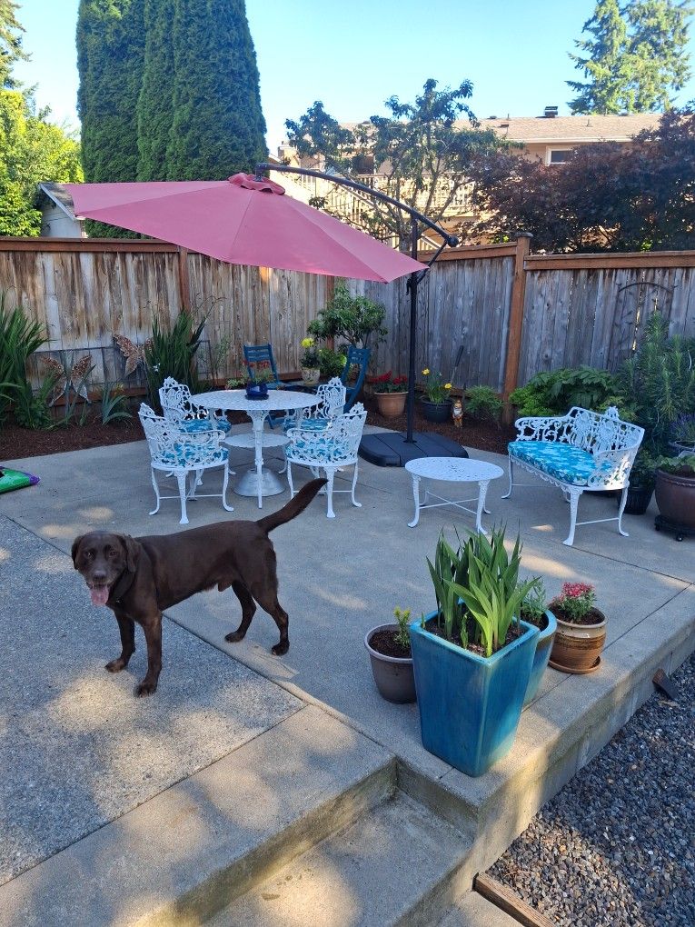 Patio Set 10 Pieces Cast Aluminum 