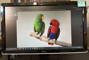 Dell 24” Monitor