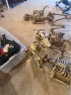 10-Piece Halloween Decoration Bundle – Skeletons, Giant Spiders & Pirate Decor