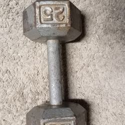 single 25lbs Dumbell 