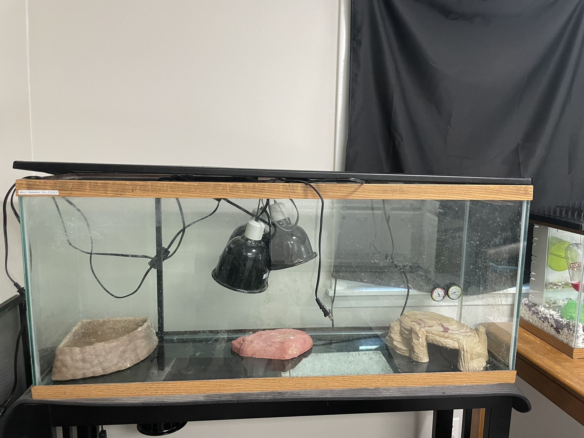 75 gallon reptile tank Setup (READ DESCRIPTION)