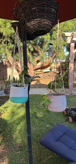 Hanging Planters with Plants Set of 2
