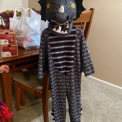 Dragon Halloween Costume
