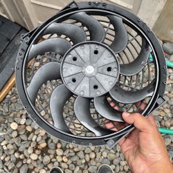 Fan