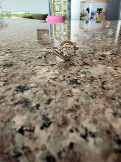 Engagement ring