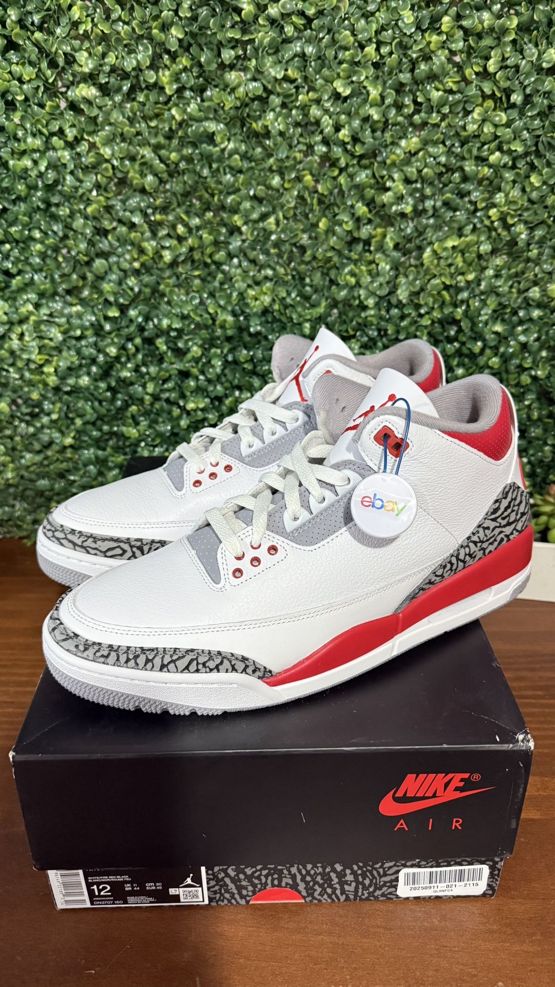 Size 12 Jordan Retro 3 Fire Red