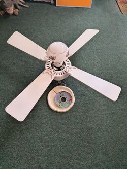 Ceiling fan with light