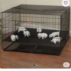 Puppy Play Pen Only