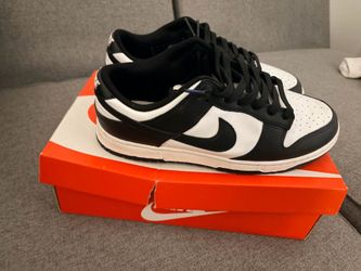 Panda dunks brand new
