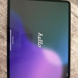 iPad Pro 13 inch M4 256GB WIFI + Cellular