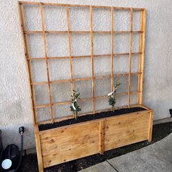 Cedar Planter With Trellis