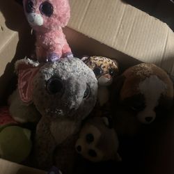 Box Of Stuff Animals