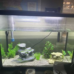 40 gallon aquarium