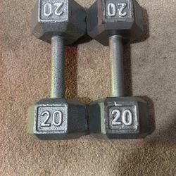 1 Pair Of 20 Pound Dumbbells