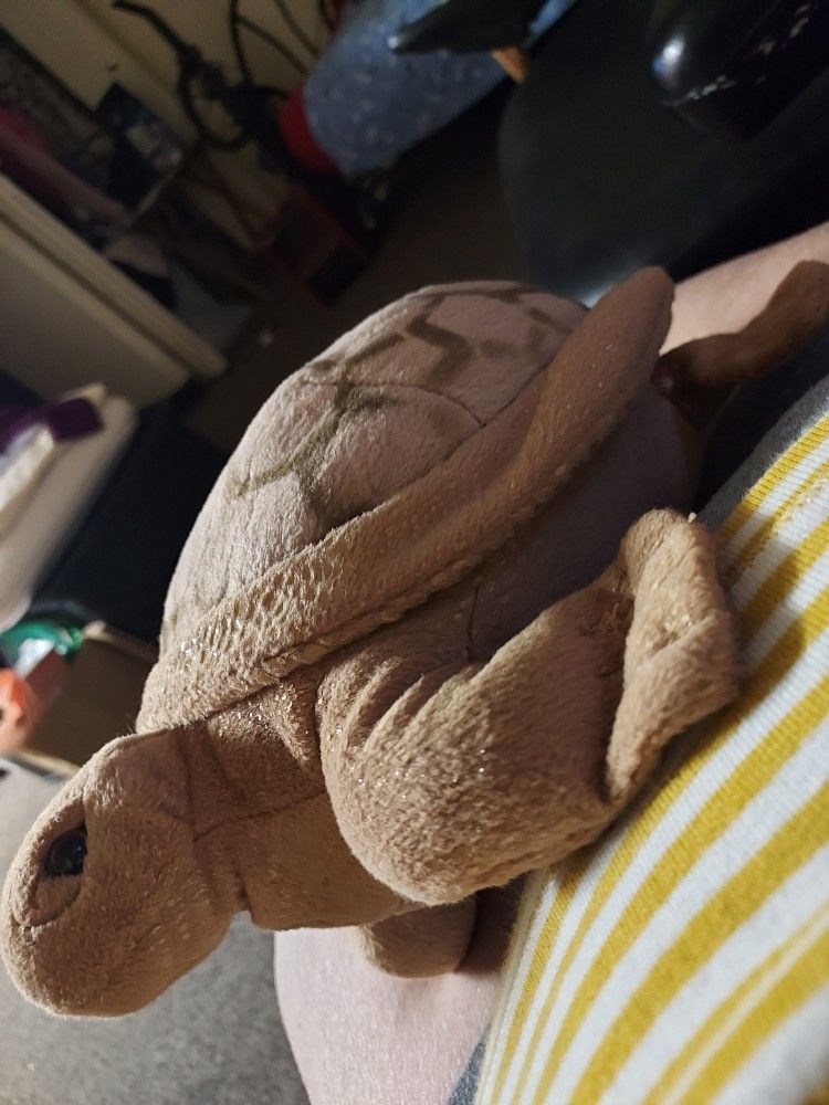 Plush Turtle