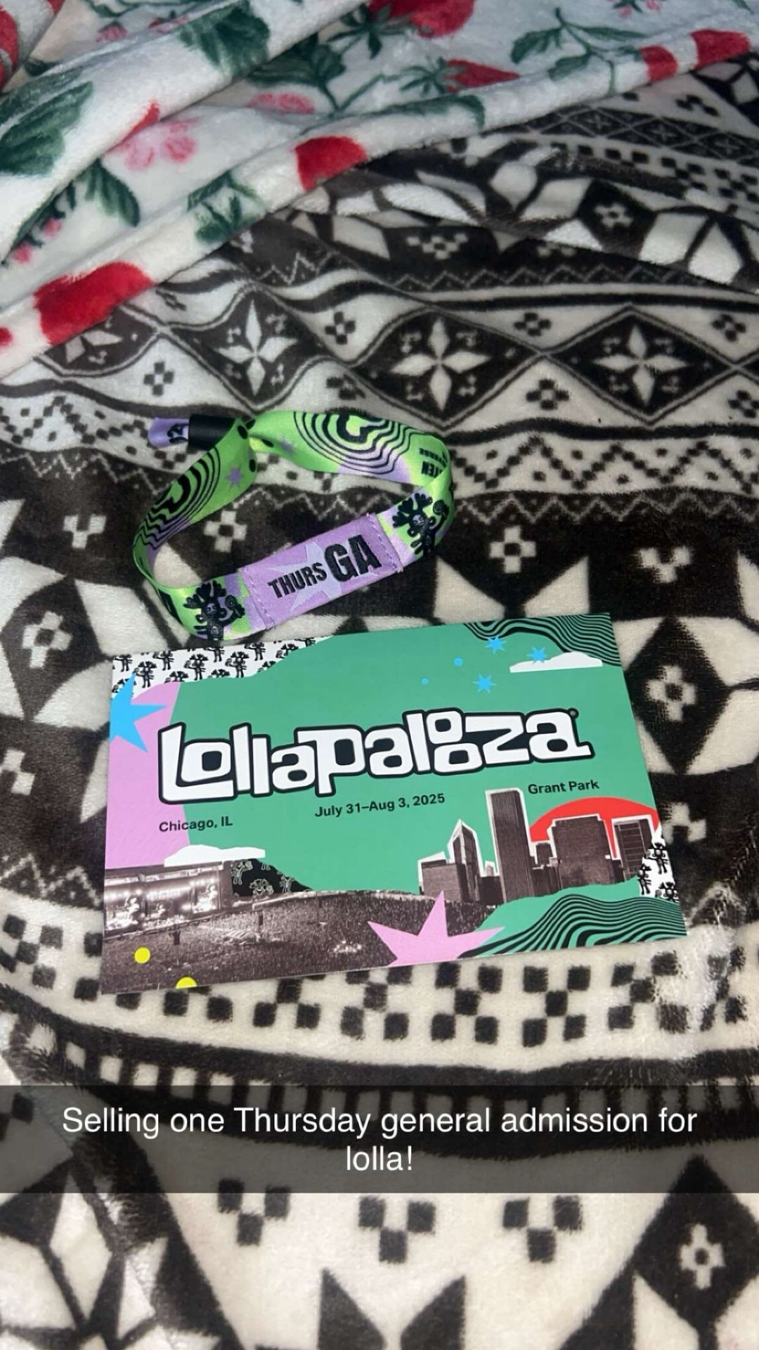 Lollapalooza ticket
