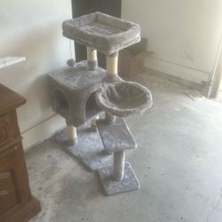 Juego Para Gato 