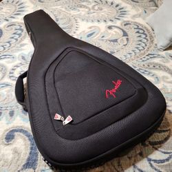 Fender Heavy Duty Gig Bag. Fe1225