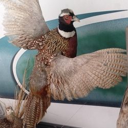 Limited Edition Marvel Studios "The Pheasant" Action Figure
