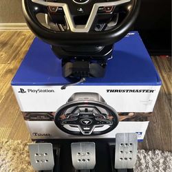 Thrustmaster Steering Wheel 