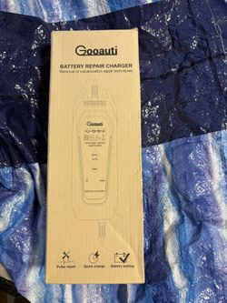 Battery Repair Charger 