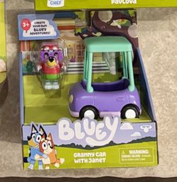 Bluey Rode Along Grannies Car