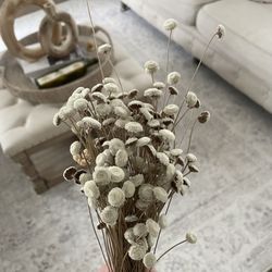 Dried Flowers
