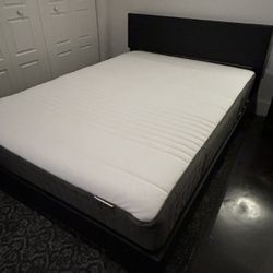 Gently Used Platform Bed Frame And Semi-Plush Mattress