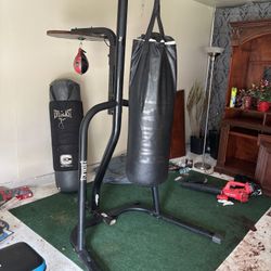 Everlast Boxing Stand With Speed Bag