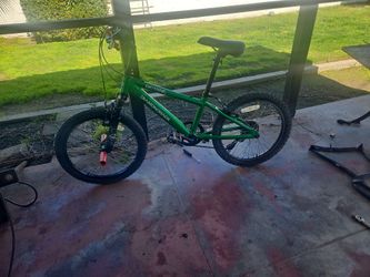 Diamondback  Octane 20 In Mountain Bike