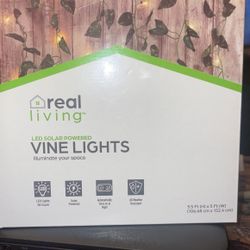 Vine lights New in box