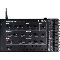 Moog Analog Synthesizer 