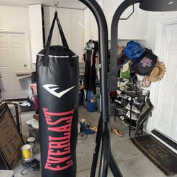 Everlast punching bag With Speed Bag Station