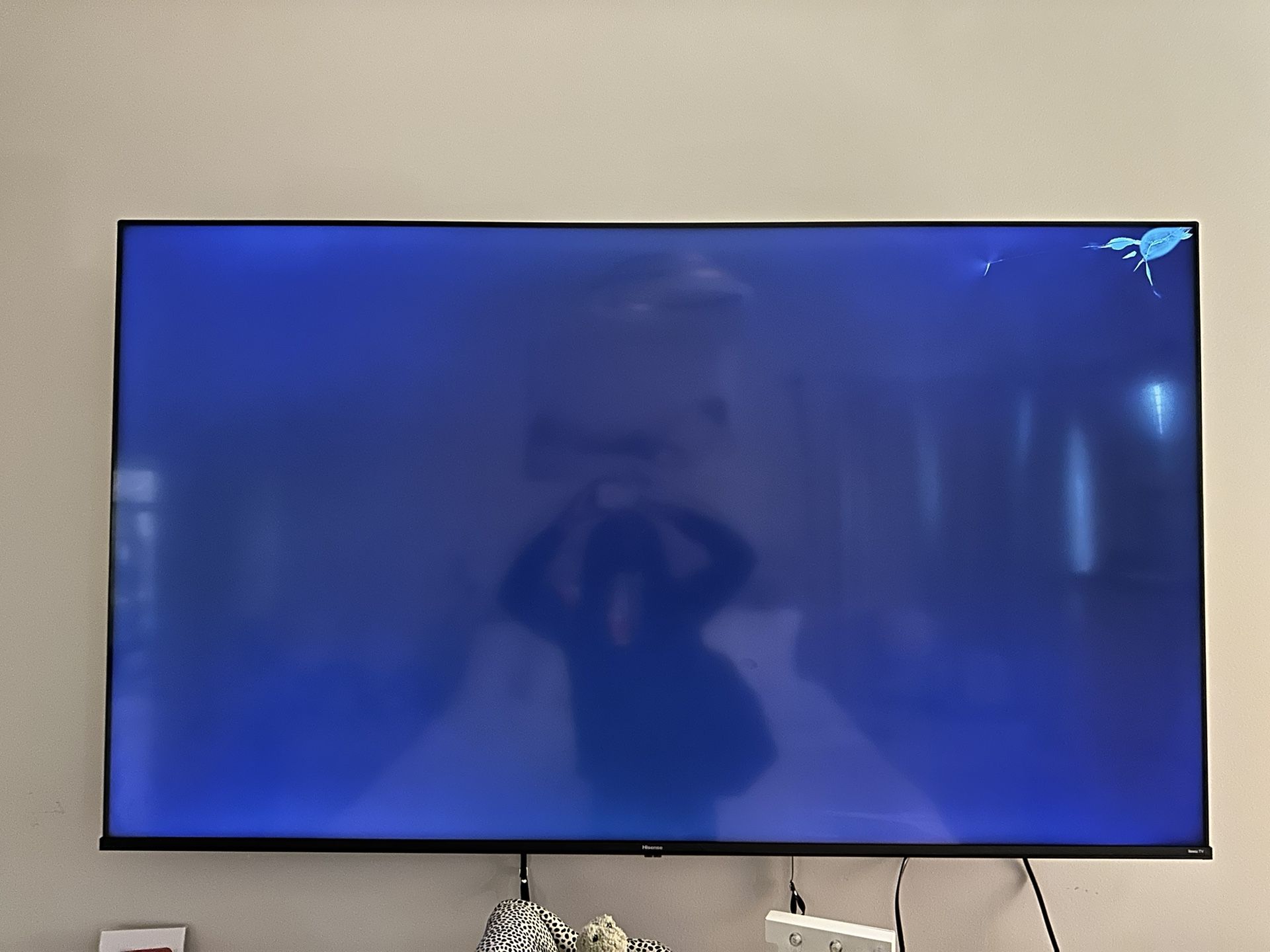 70 Inch Roku TV ( screen crack)