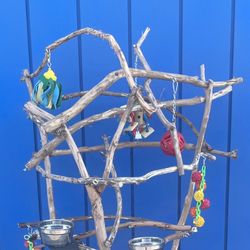 Custom Parrot Perch - Kinda Funky N Curvy … Great For African Greys /?Amazons … A great Socializer ✅