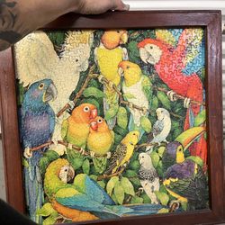 Framed Puzzle 