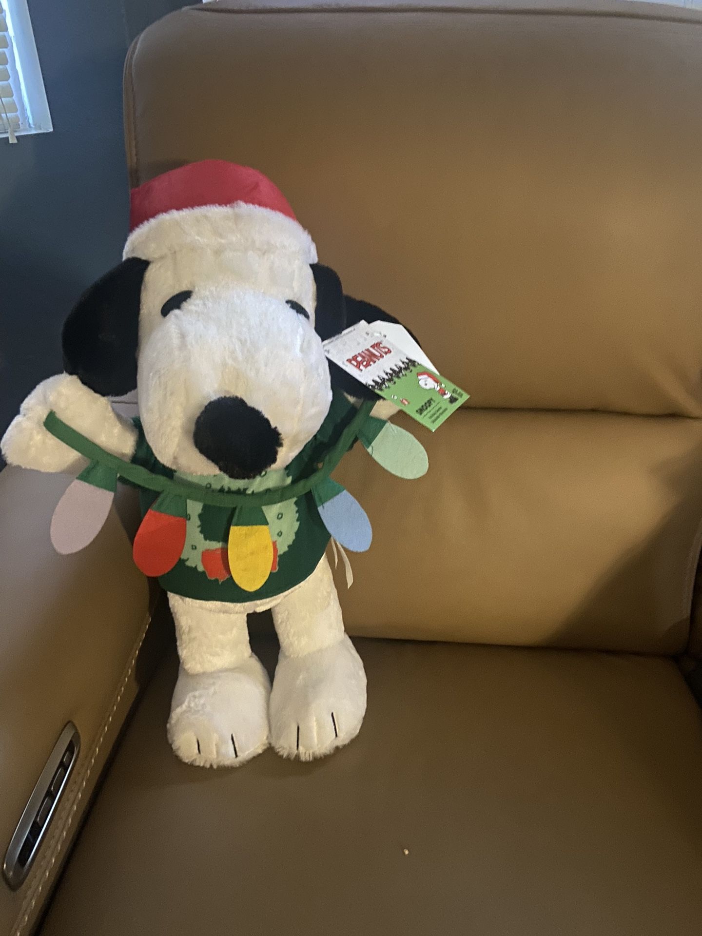 Brand New SNOOPY DOOR GREETER
