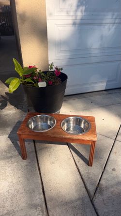 Elevated Dog Bowl Stand with Two Stainless Steel Bowls