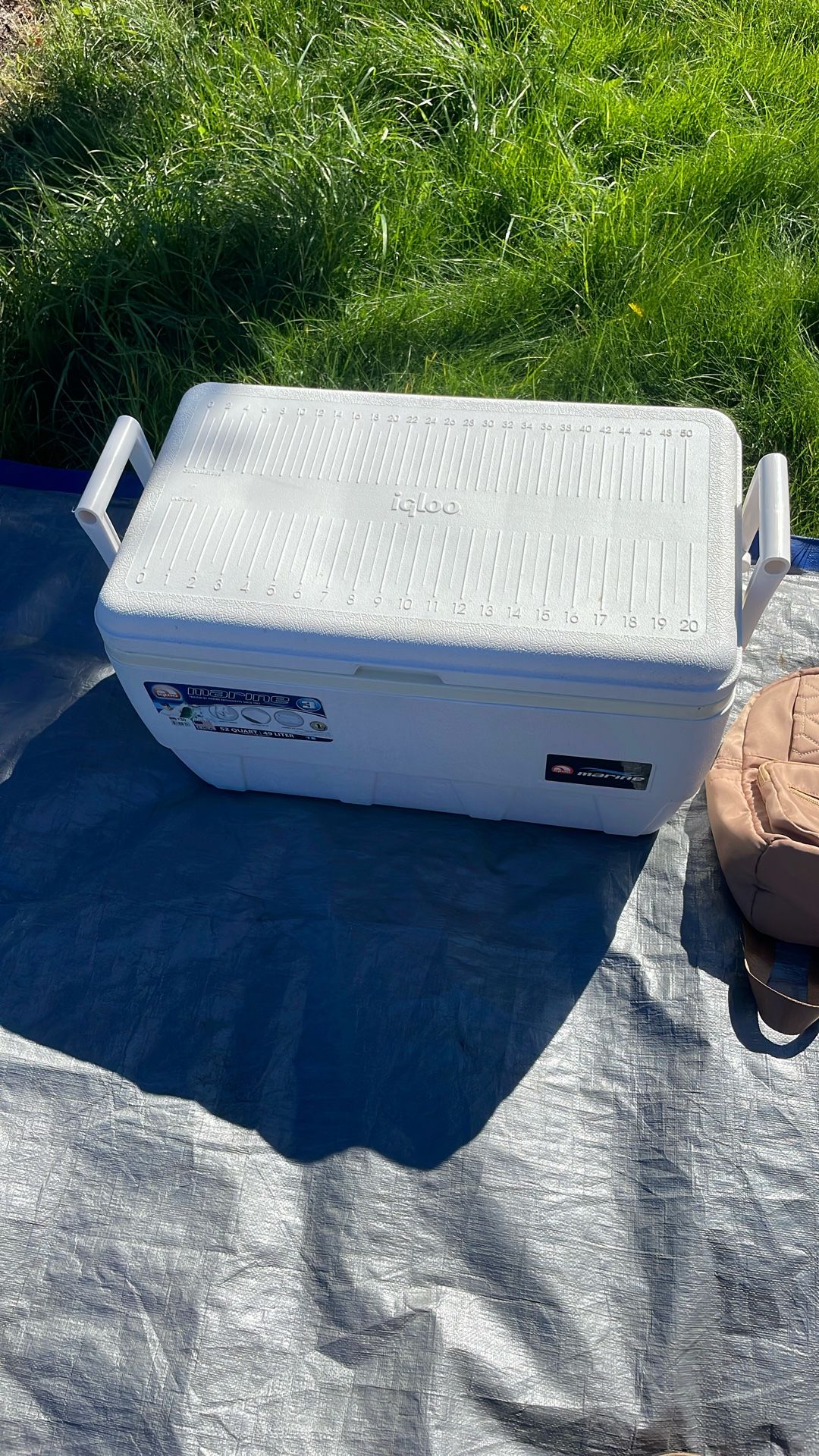Fishing cooler or Just cooler