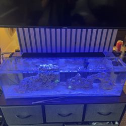 Ai Blade Aquarium Light Reef Lighting 30”